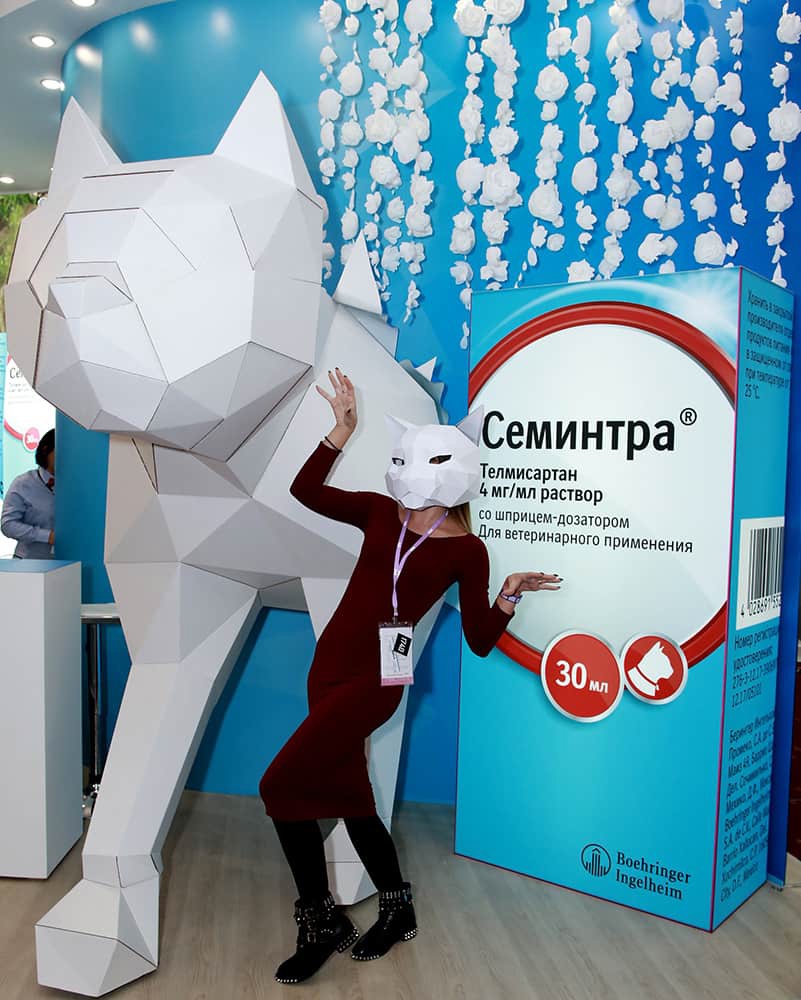 фотозона на выставку